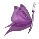 TKTT2016 image001 3