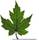 cuusvMT image001 4