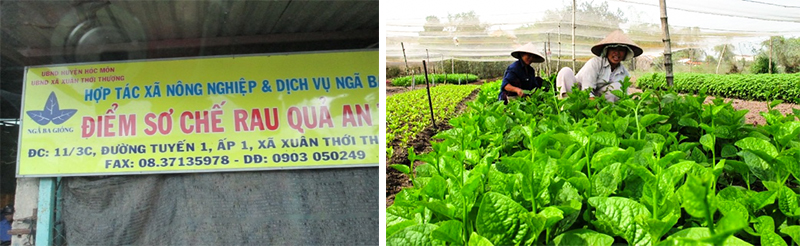 DH Van lang thuc tap nganh cong nghe sinh hoc hooc mon 2018 4